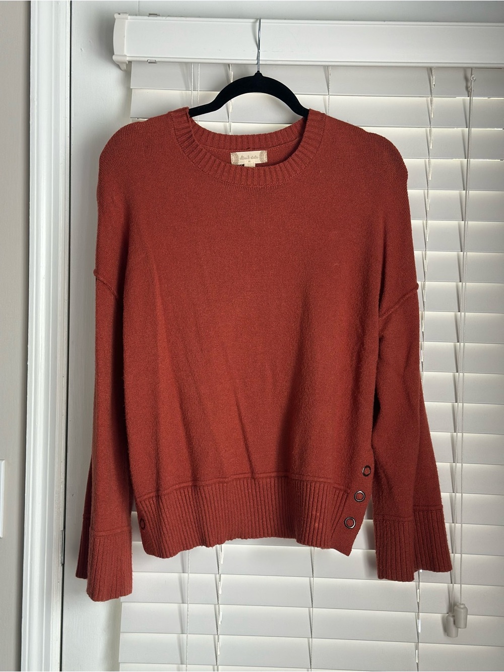 Altar'd State Rust Crewneck Sweater with Side Button Accents
